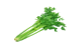 Celery